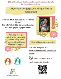Vietnamese 2022 Virtual Breastmilk Drive flyer